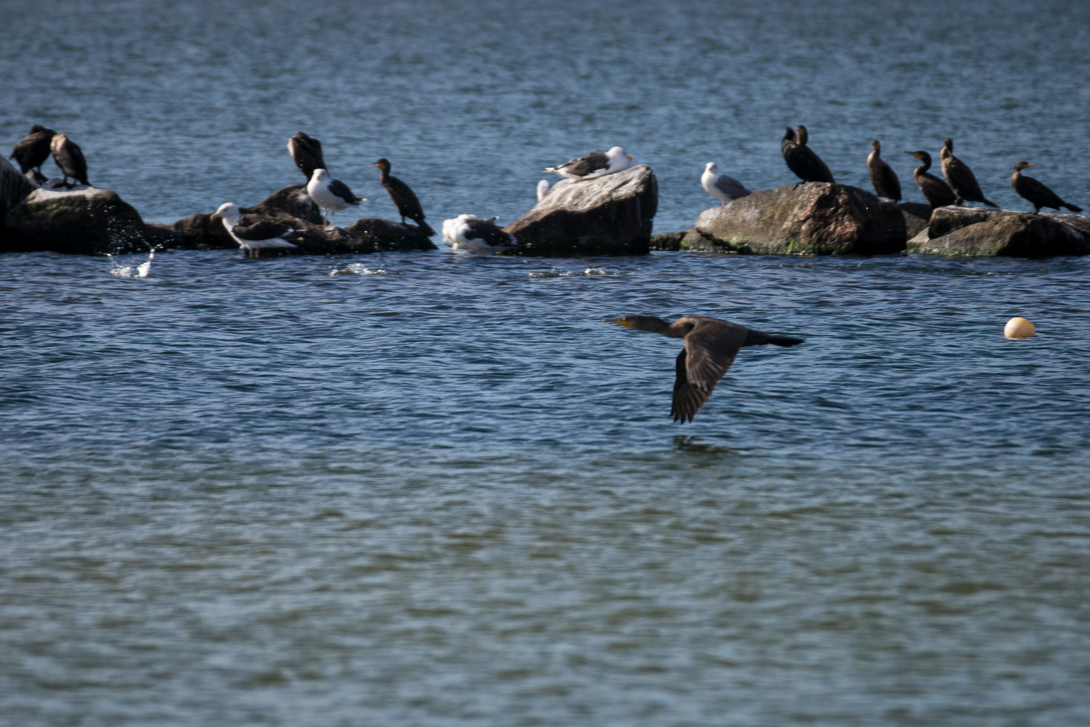 20160919 120039 Thiessow